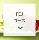 FEJコース